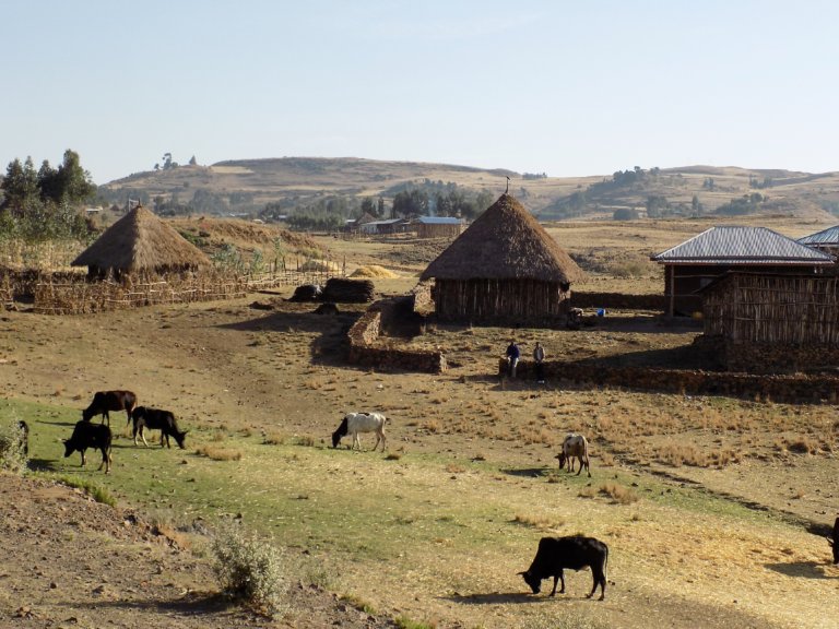 The ever-changing scenery of northern Ethiopia - Happy Days Travel