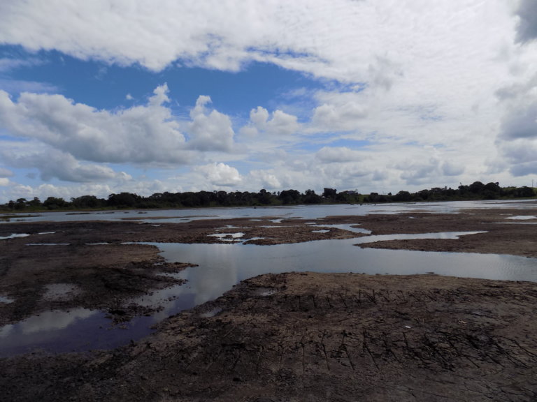 Pitch Lake, Trinidad - a Surreal Landscape - Happy Days Travel