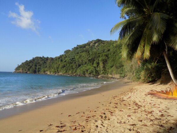 Exploring eastern Tobago - driving the coast road from Scarborough ...