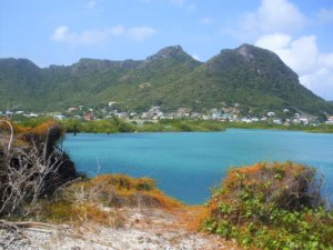St Vincent and the Grenadines Travel Guide - Happy Days Travel Blog