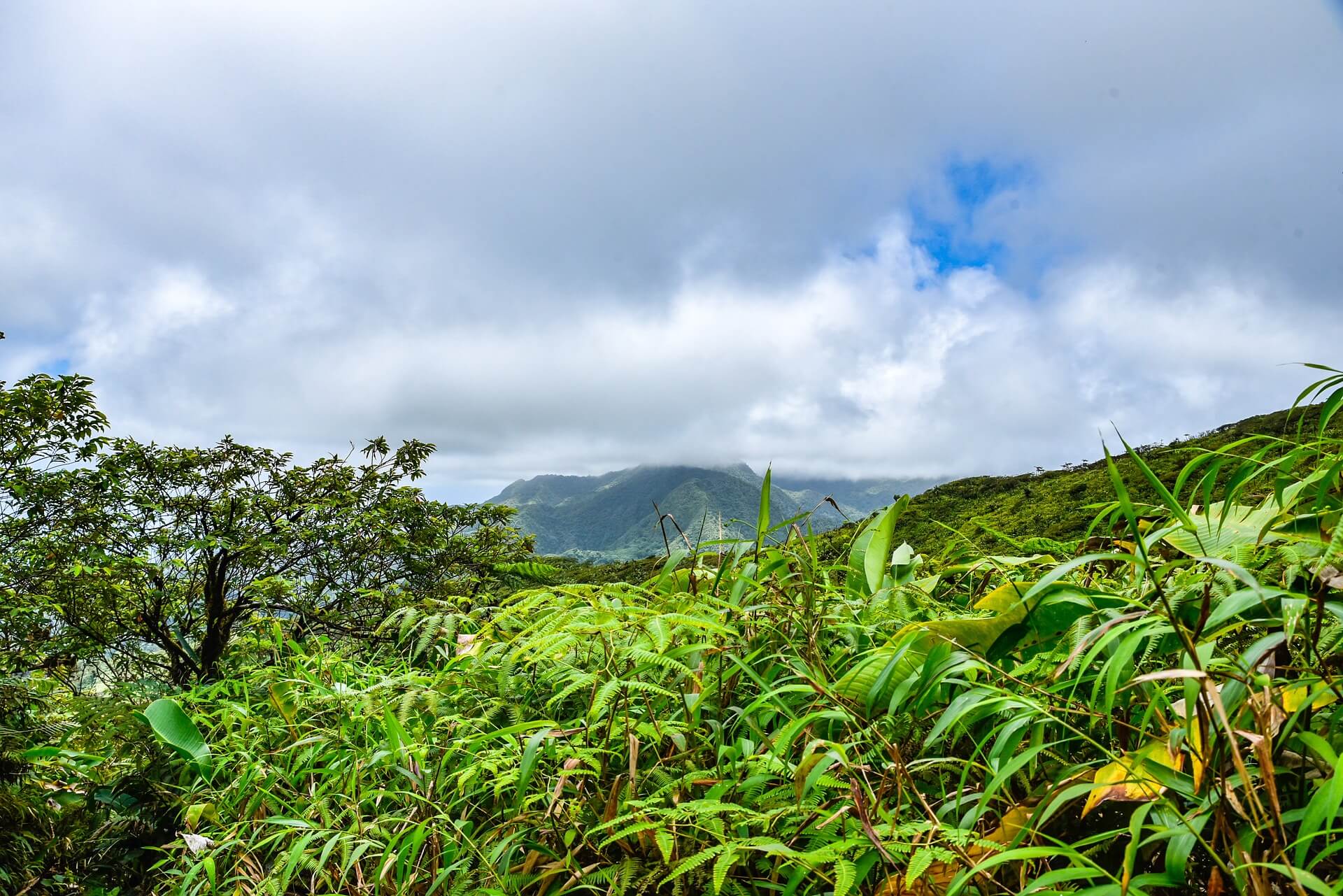 The Best Things To Do In St Vincent Happy Days Travel Blog   La Soufriere Volcano 3639039 1920 